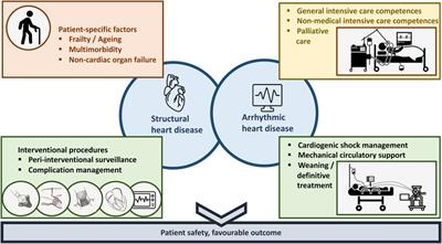 A contemporary training concept in critical care cardiology